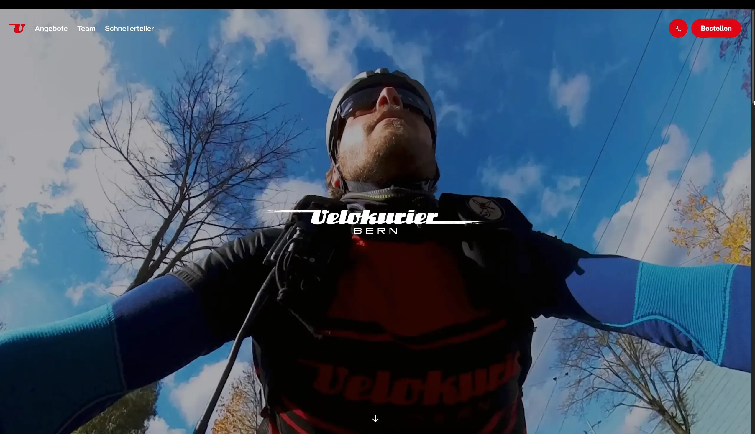 Preview des finalen Velokurierbern Designs